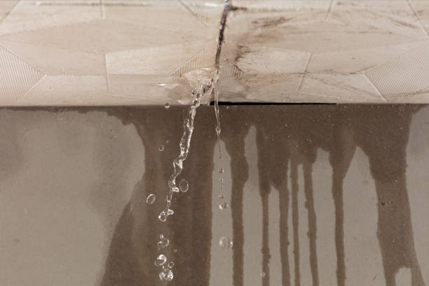 Professional Structural Drying technician working in Arlington, OH